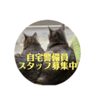 すぽんぴ（個別スタンプ：1）