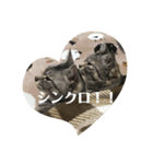 すぽんぴ（個別スタンプ：2）