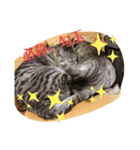 すぽんぴ（個別スタンプ：3）