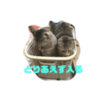 すぽんぴ（個別スタンプ：6）