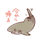 よい子のサメ・エイスタンプ1（個別スタンプ：5）