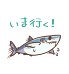 よい子のサメ・エイスタンプ1（個別スタンプ：8）