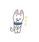 お茶目なmix白ワンコ（立ち耳）（個別スタンプ：4）