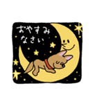 お茶目なmix茶ワンコ（立ち耳）（個別スタンプ：12）