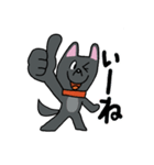 お茶目なmix黒ワンコ（立ち耳）（個別スタンプ：6）