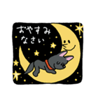 お茶目なmix黒ワンコ（立ち耳）（個別スタンプ：12）