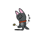 お茶目なmix黒ワンコ（立ち耳）（個別スタンプ：27）
