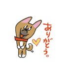 お茶目なmix鼻黒ワンコ（立ち耳）（個別スタンプ：3）