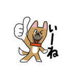 お茶目なmix鼻黒ワンコ（立ち耳）（個別スタンプ：6）