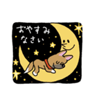 お茶目なmix鼻黒ワンコ（立ち耳）（個別スタンプ：12）