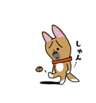 お茶目なmix鼻黒ワンコ（立ち耳）（個別スタンプ：27）