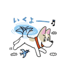 お茶目なmixぶちワンコ（立ち耳）（個別スタンプ：37）