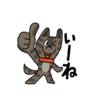 お茶目なmix虎毛ワンコ（立ち耳）（個別スタンプ：6）