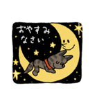 お茶目なmix虎毛ワンコ（立ち耳）（個別スタンプ：12）
