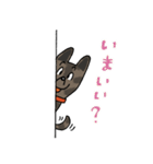 お茶目なmix虎毛ワンコ（立ち耳）（個別スタンプ：17）