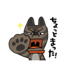 お茶目なmix虎毛ワンコ（立ち耳）（個別スタンプ：36）