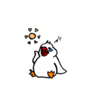 白文鳥さん。（個別スタンプ：1）