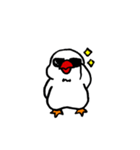 白文鳥さん。（個別スタンプ：4）