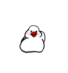 白文鳥さん。（個別スタンプ：5）