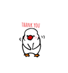 白文鳥さん。（個別スタンプ：8）