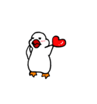 白文鳥さん。（個別スタンプ：16）