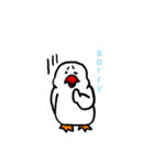 白文鳥さん。（個別スタンプ：17）