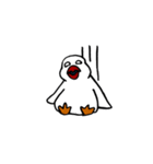 白文鳥さん。（個別スタンプ：22）