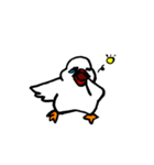 白文鳥さん。（個別スタンプ：24）