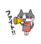 ふくねこのまいにち4(文字黒)（個別スタンプ：17）