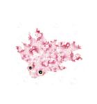 プリント柄の金魚（個別スタンプ：1）