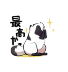 ボドゲ×たぬき×日常2（個別スタンプ：4）