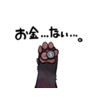 ボドゲ×たぬき×日常2（個別スタンプ：25）