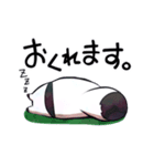 ボドゲ×たぬき×日常2（個別スタンプ：28）