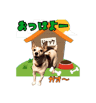 ジャックのつぶやき♡（個別スタンプ：1）