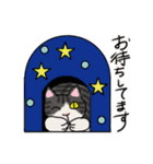 冬に使えるピンクっ腹のエッピョン（個別スタンプ：9）
