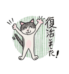 冬に使えるピンクっ腹のエッピョン（個別スタンプ：16）
