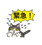 冬に使えるピンクっ腹のエッピョン（個別スタンプ：19）