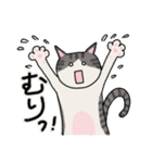 冬に使えるピンクっ腹のエッピョン（個別スタンプ：24）