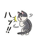 冬に使えるピンクっ腹のエッピョン（個別スタンプ：26）
