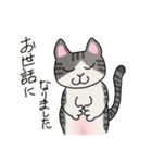 冬に使えるピンクっ腹のエッピョン（個別スタンプ：27）