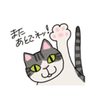 冬に使えるピンクっ腹のエッピョン（個別スタンプ：37）