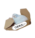 ひふみんスタンプ4（個別スタンプ：15）
