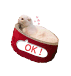 ひふみんスタンプ4（個別スタンプ：21）