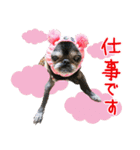 パグのちゃら★もい スタンぷぅ～（個別スタンプ：12）