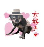 パグのちゃら★もい スタンぷぅ～（個別スタンプ：22）