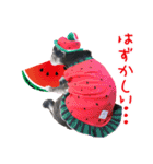 パグのちゃら★もい スタンぷぅ～（個別スタンプ：25）