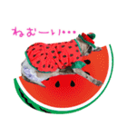 パグのちゃら★もい スタンぷぅ～（個別スタンプ：26）