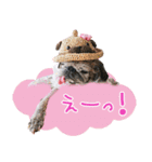 パグのちゃら★もい スタンぷぅ～（個別スタンプ：31）