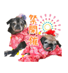 パグのちゃら★もい スタンぷぅ～（個別スタンプ：38）