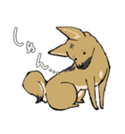 雑種犬のクロハナ（個別スタンプ：3）